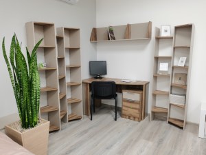 Домашний офис Анри (Алисия)